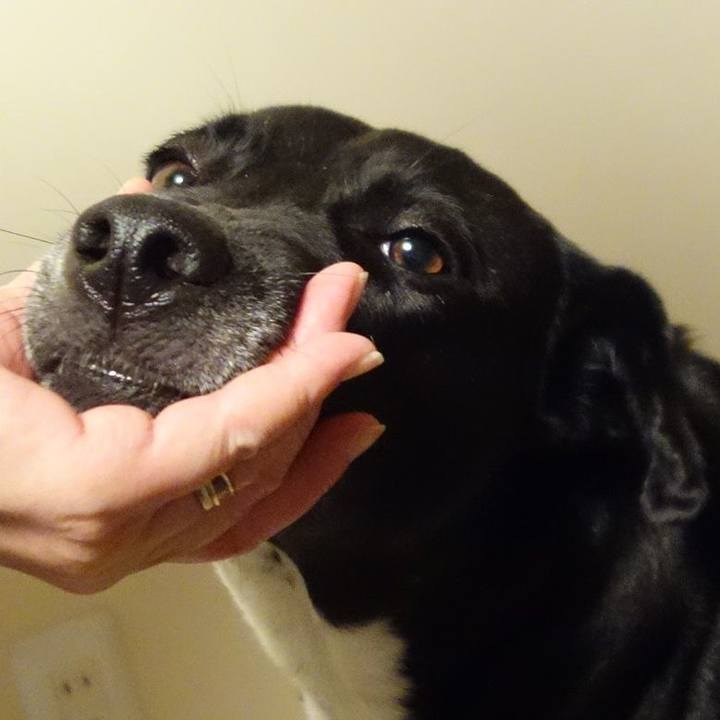 A0587954 0f99 4ade a495 94a17b9cc89d 1623149262847