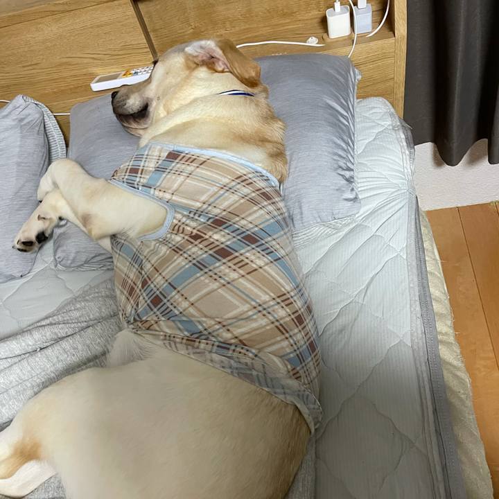 A0588bd4 cf16 4b93 9999 0a49f7618512 1630514214650