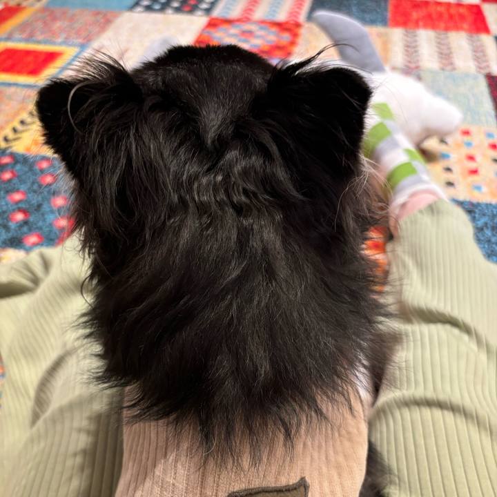 A0588d43 22fe 4228 a137 ef1304a9c518 1730737241889