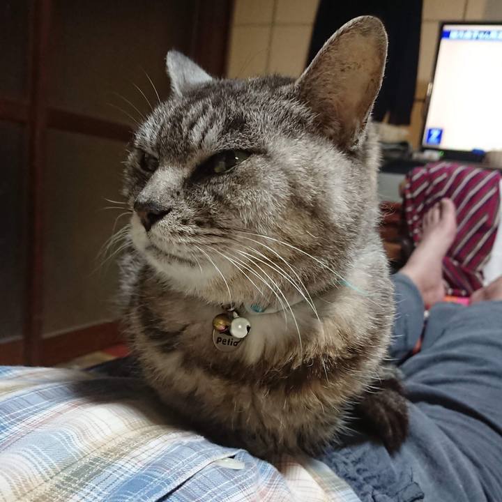 A058905c 4ef3 40a9 82ac e447200ef787 1603967441347