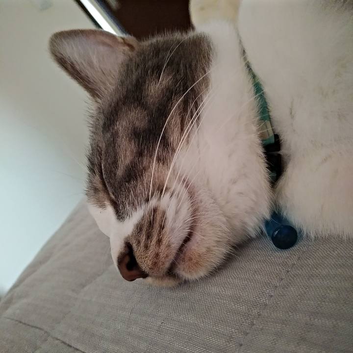 A05899cc d2f3 4b24 96b6 137d1064645a 1589244182209