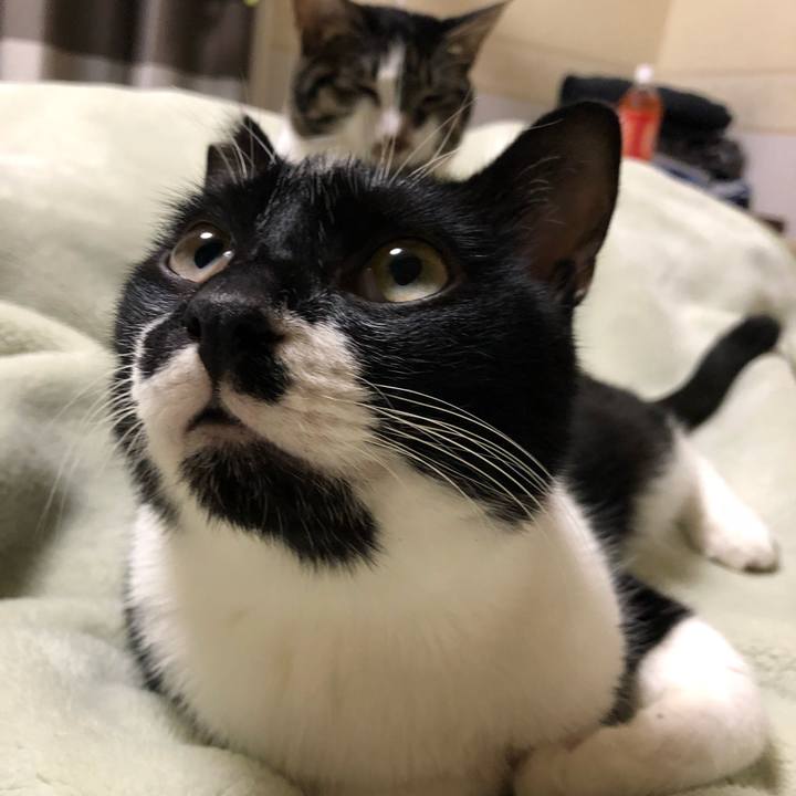 A058bdcc 9467 4e23 a417 37dedcccd6ed 1540585549424