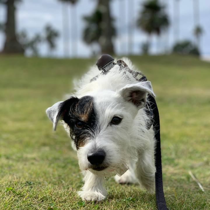 A058c58c 1091 4255 8939 7f4a05bee329 1699668170282