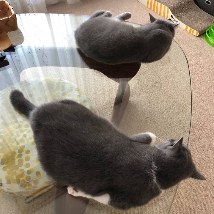 A058e353 f05d 4e9a 826d b0fb32d0fd12 1534980890721