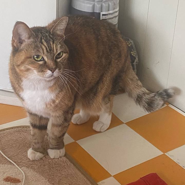 A058ef44 6ae0 4ae9 94ab 0ab6a4e9538c 1742451912780