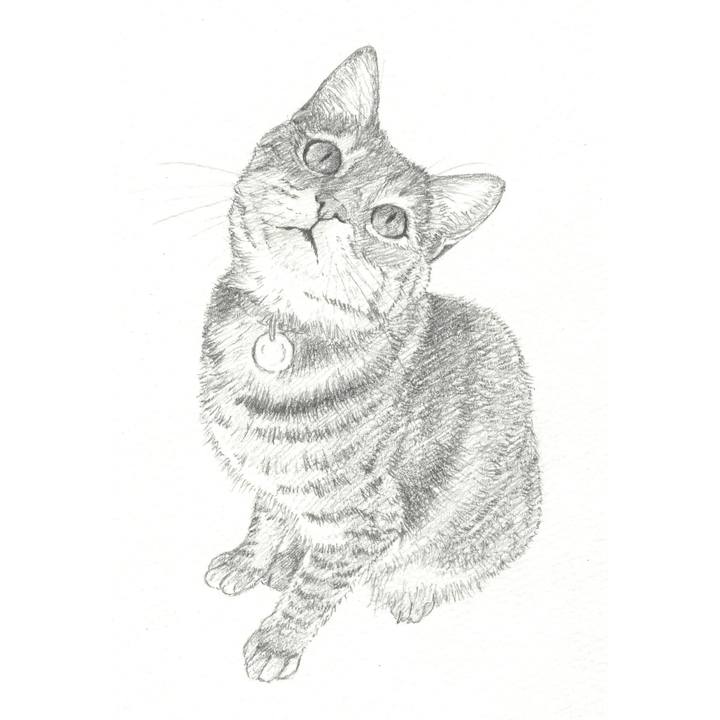 A0594d7b ad34 42bb 88f0 157ec2066fb4 1543754972458