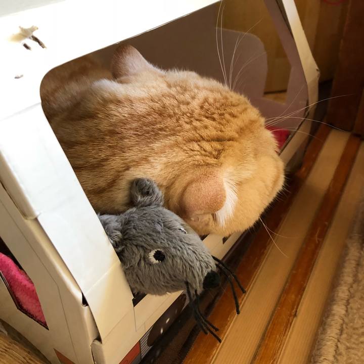 A05998a4 397d 4326 8f6f ea15c01fefe0 1549213728720