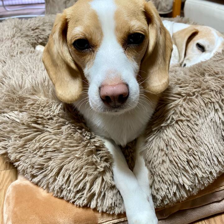 A0599c58 1e6f 4242 9c10 e77b4eff609d 1611806520005