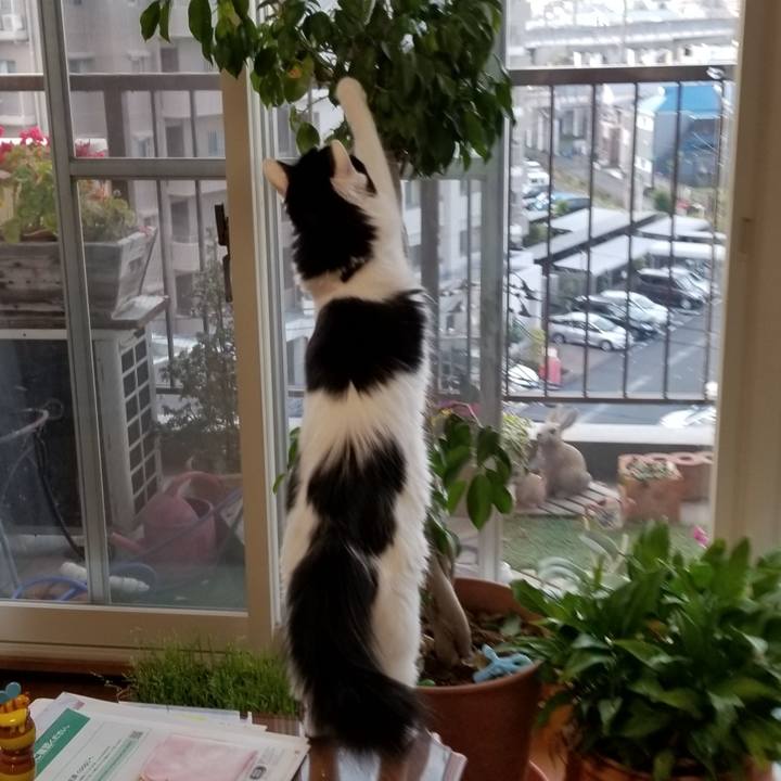 A059c8c1 42a3 45a9 8fa2 cd2a2fc162f3 1584131883642