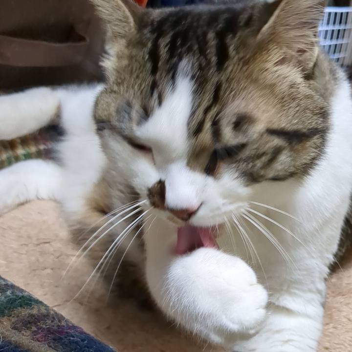 A059c97d 5eda 4c22 90a6 ecabadeb820f 1688435752342