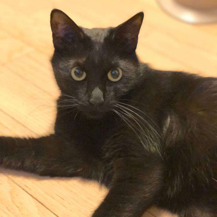 A05a0e23 9aea 4db4 a002 9eefb83f9872 1512562263777