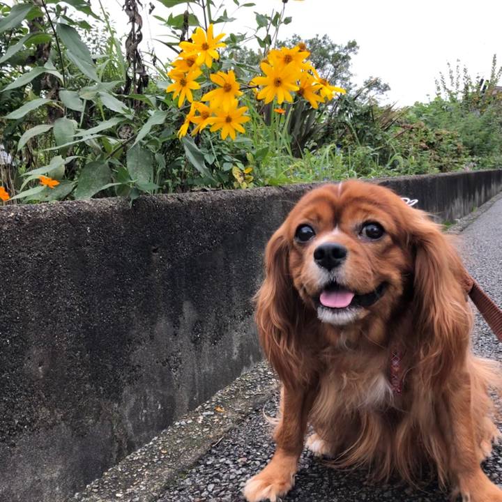 A05a25fb ec9e 4876 9a4c dcffa32a8929 1601081662151