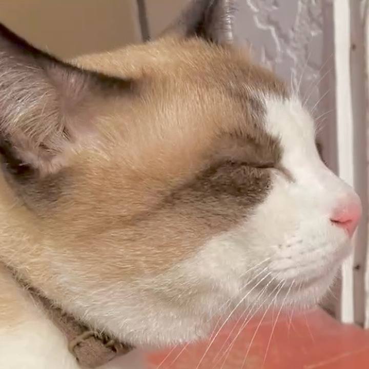 A05a27a0 3773 4b1d ac16 5333788d0187 1729479711012