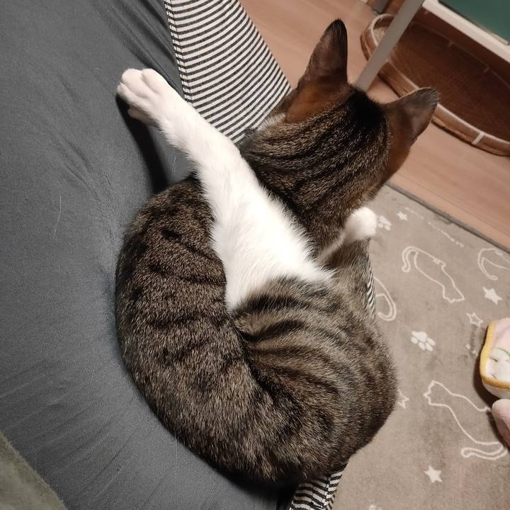 A05a3315 bfe4 4113 86b3 c5d00630ebd4 1677840859964