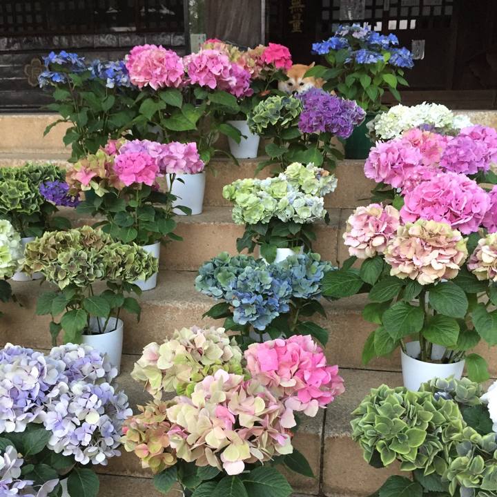 A05a33aa 7958 47c0 be32 8cf21d8b7e87 1528602956939