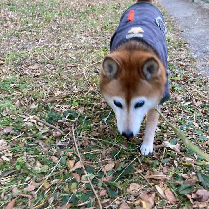 A05a3b76 a803 4a5b a311 24a12eb2e152 1705020250552