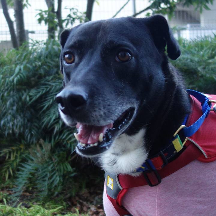 A05a473d d93f 45ec aab5 8c8c5e09fc5b 1670634498702