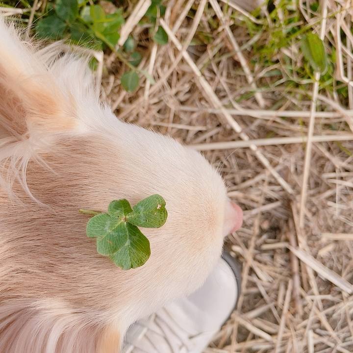 A05a6203 6fc9 4708 b120 bae0f5e8285f 1614850152355