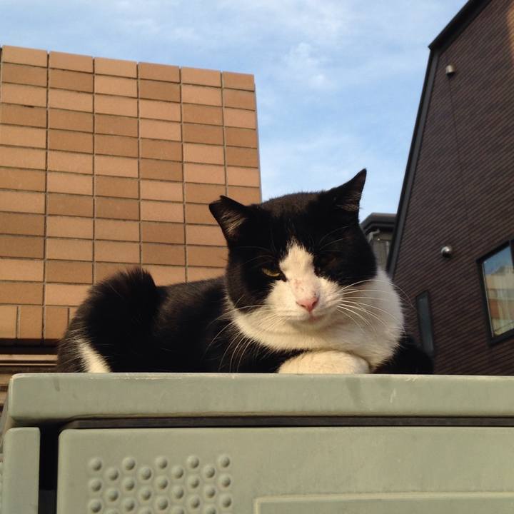 A05a845d 3b43 41cb b7f1 73fe86a395c1 1510574578066