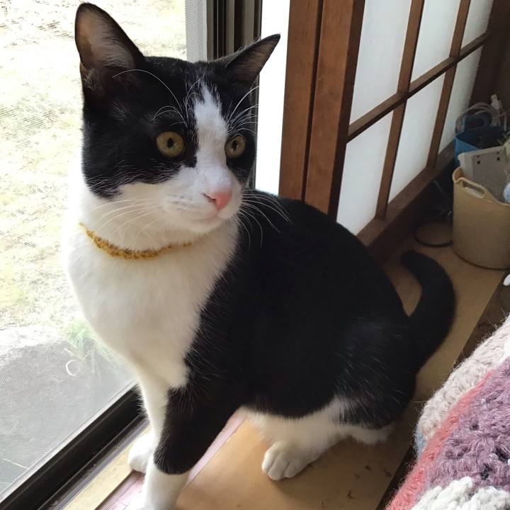 A05a9d71 9945 4fbf 87ec 36851cbd34d0 1647153803011