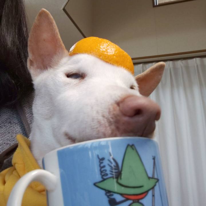 A05ad1d1 131c 4f1b bfcf 64c6a05eeac6 1548203443345