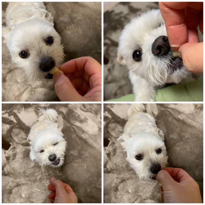 A05adb9a 5dcf 4c6f b886 93fbd6db55ee 1607662379964