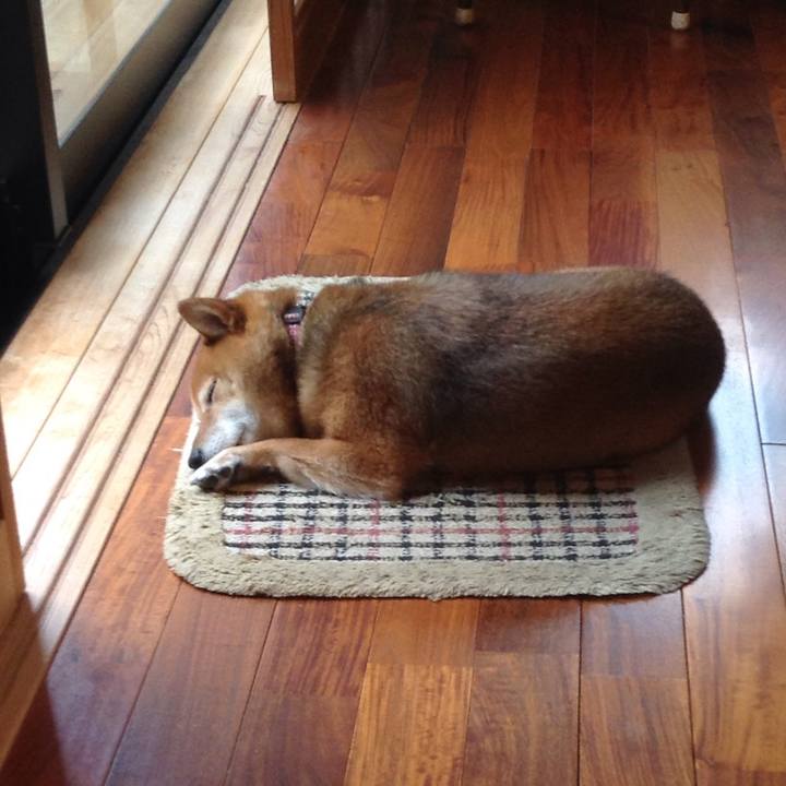 A05b1d31 be4b 4e5b 9168 62e0fbdb3c3e 1529050359632