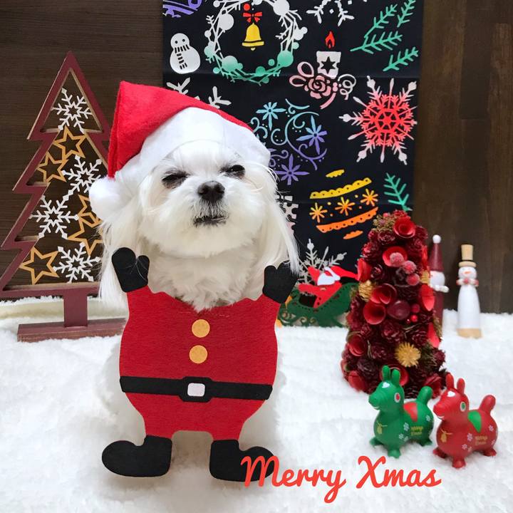 A05b2021 8021 414f bbdc 2fffb6ab02e4 1766581386427