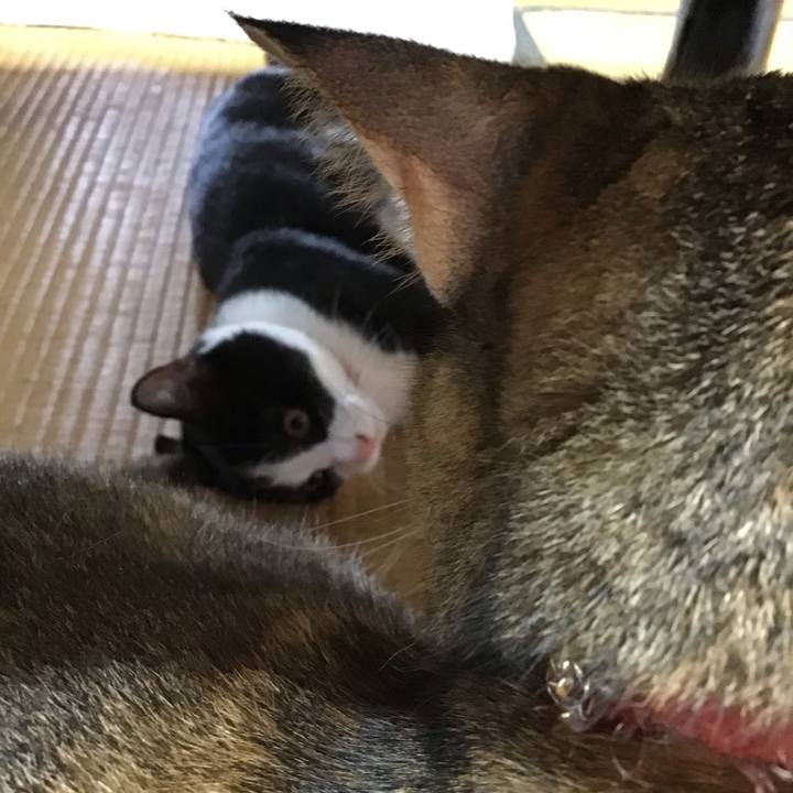 A05b7590 2fee 4a7f 9371 bf06b4d22c2b 1629676436930