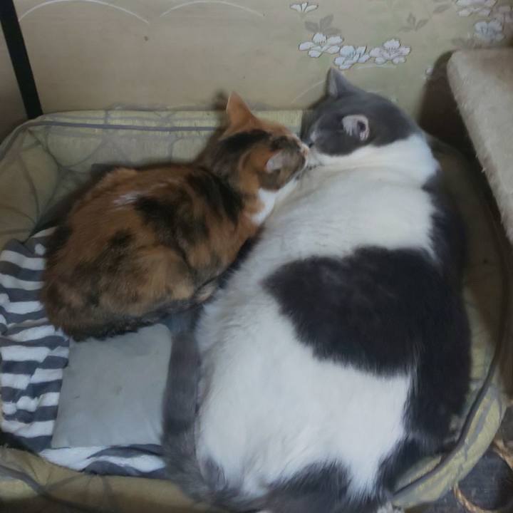 A05b7c3d 028d 41e7 a121 0cadbf480a8d 1680280098410