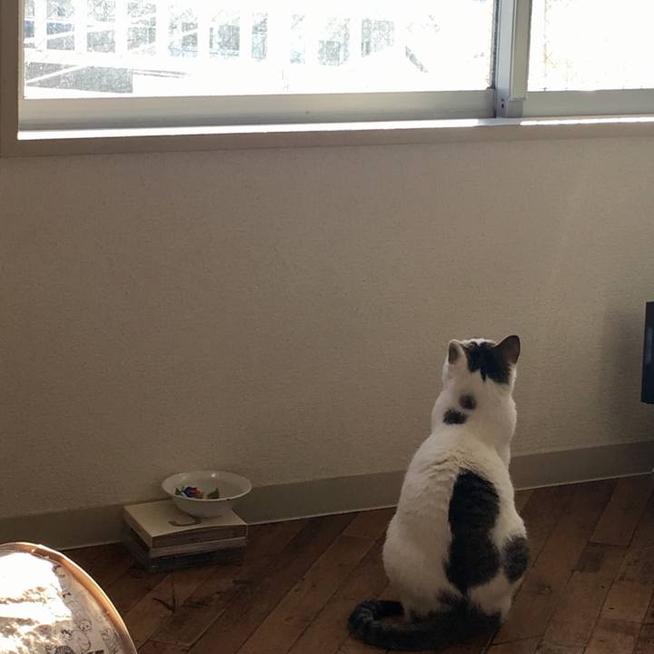 A05b8c74 debd 4170 bb2b 9228caa9008c 1516754386643