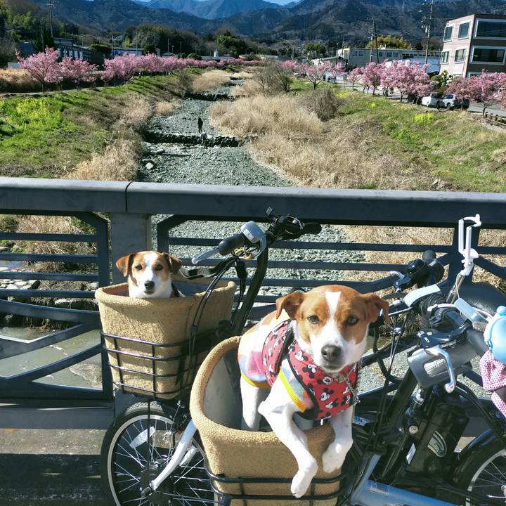 A05baf3b f926 4996 8e89 13e40a114a11 1772962764591