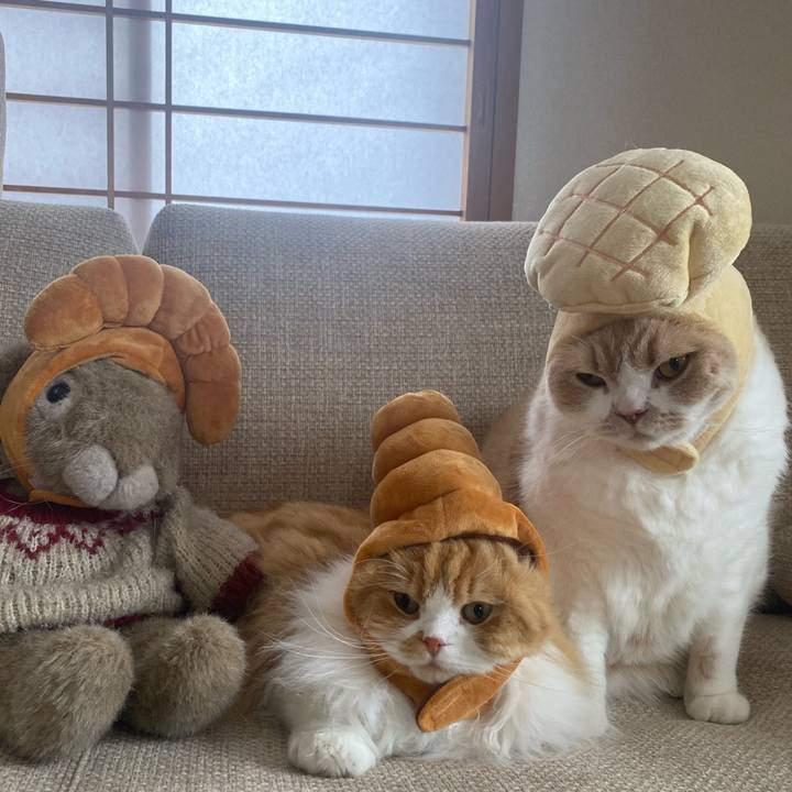 A05bd621 ecab 4f40 b27e 9061bd8f11a9 1679651020347