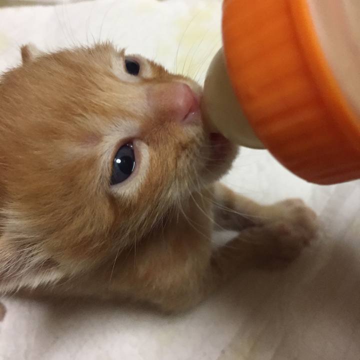 A05bdf3d eee7 4033 936a f65f29181100 1531750876525