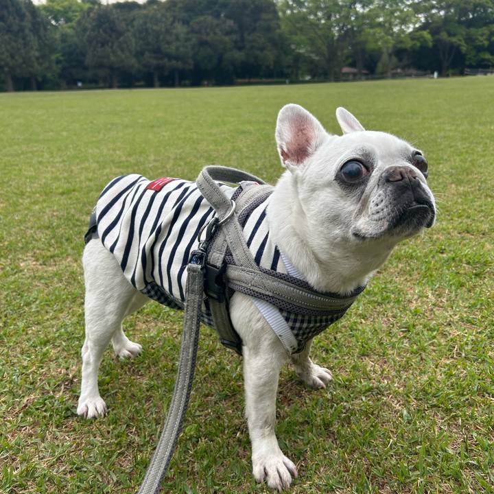 A05c32cc 417e 4d7a 8269 33783cbb4ee7 1745115831316