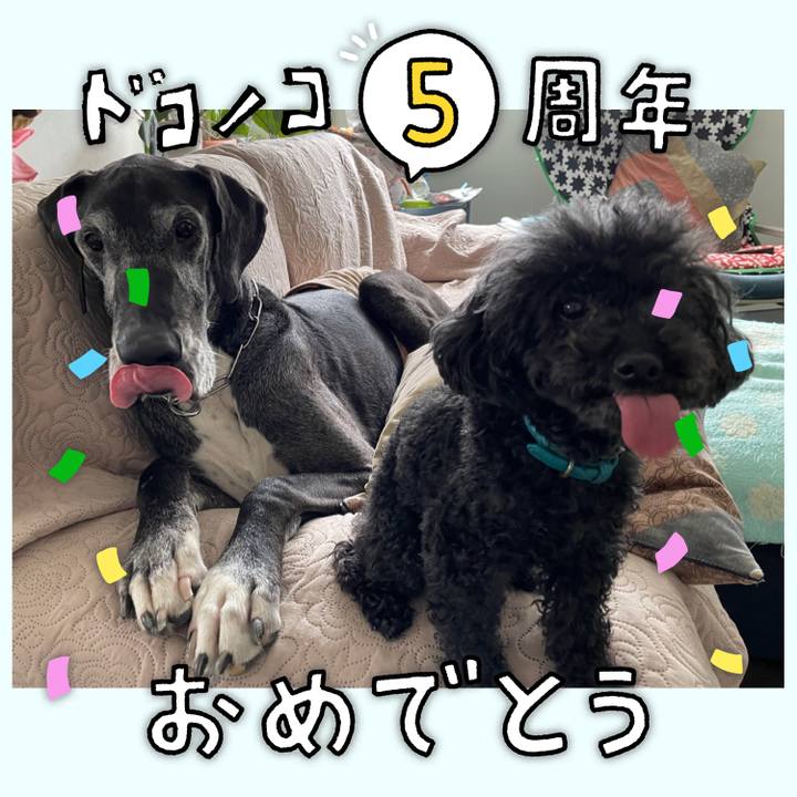 A05c88bd 934c 4a66 a067 bf593bbd2b79 1622950931799