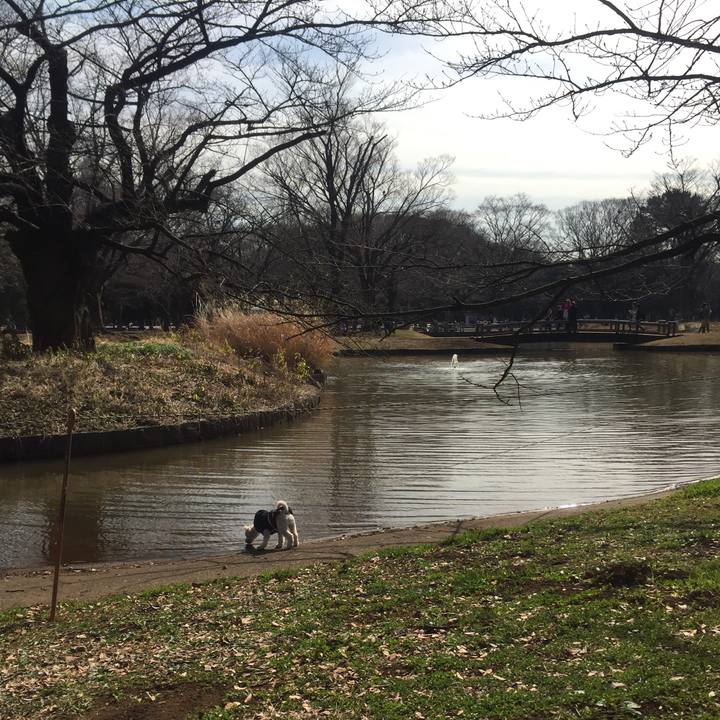 A05c9afd 8df0 465e 8666 280f70d271e3 1520067622151