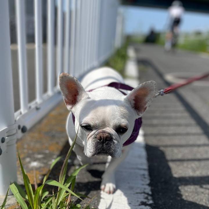 A05c9b97 e71f 412a 8785 f3f9e5d88717 1746316590205