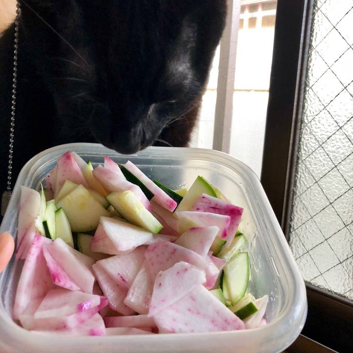 A05cb2c2 b7b8 40f4 af84 94c4e8e50a2a 1541635942797