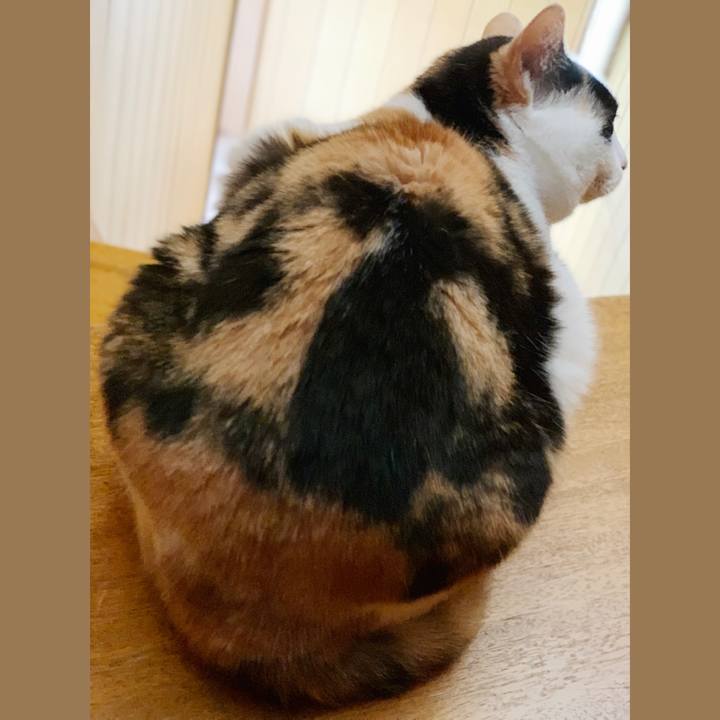 A05cc849 a61b 410a a85d 204c653298c5 1554691752155