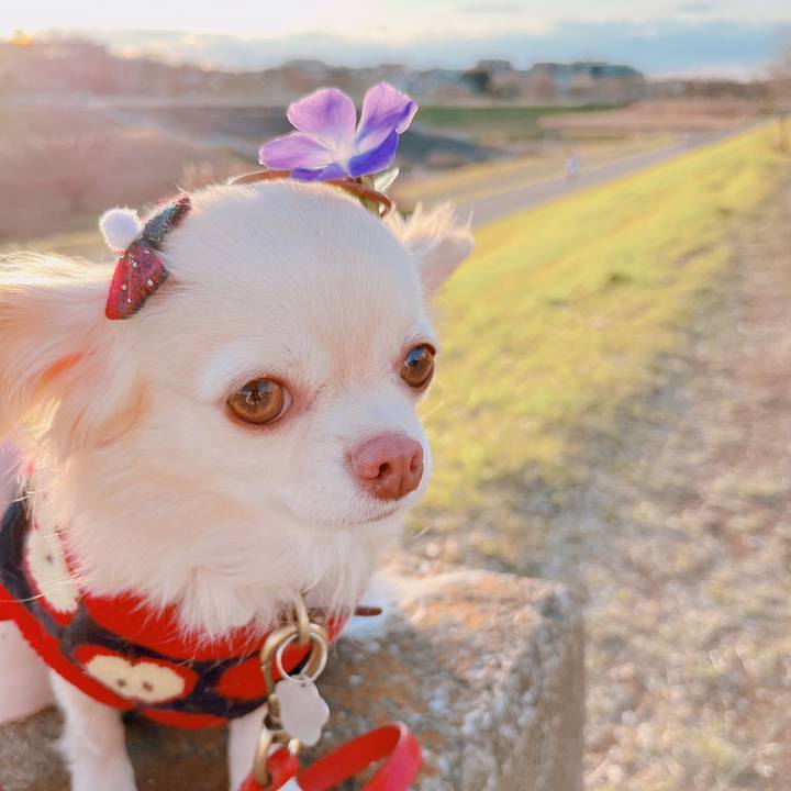 A05cdc11 b820 4da2 905b e1384ab0f773 1674033138005