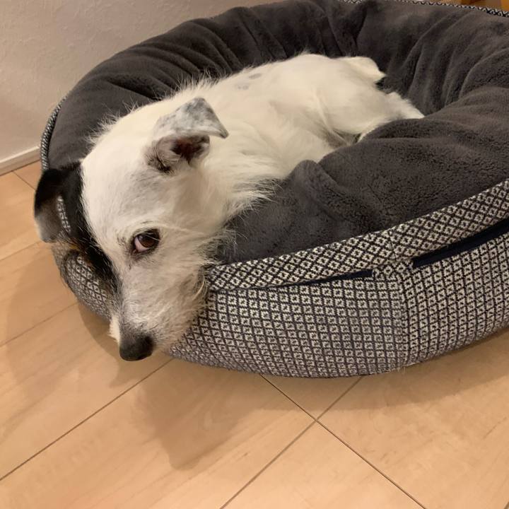 A05d1cfe 8f72 49a3 aad4 43806056a8ed 1655724115212