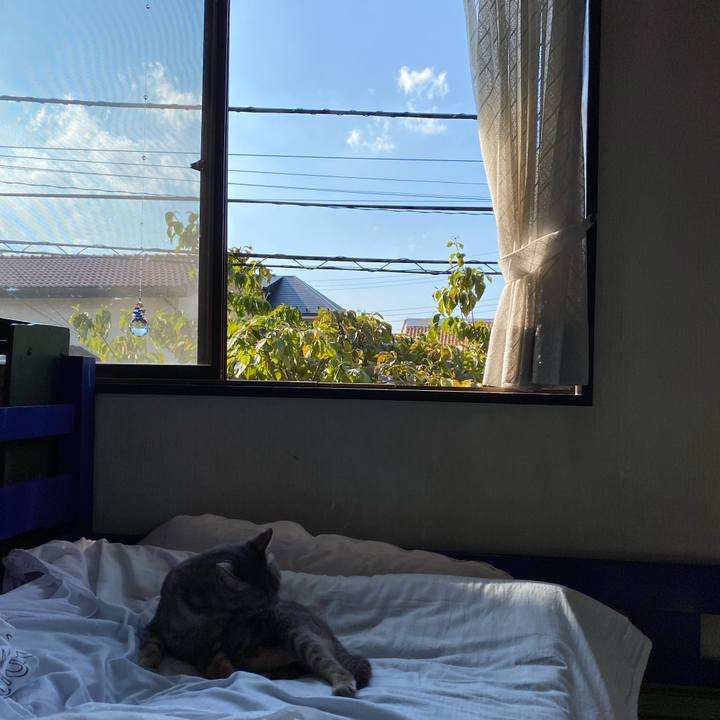 A05d3937 8cd6 4930 be3a 6832d7a3ed0c 1597850243683