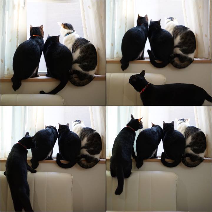 A05d89f0 270b 4757 a9d7 74b3ddebac6f 1523230496703