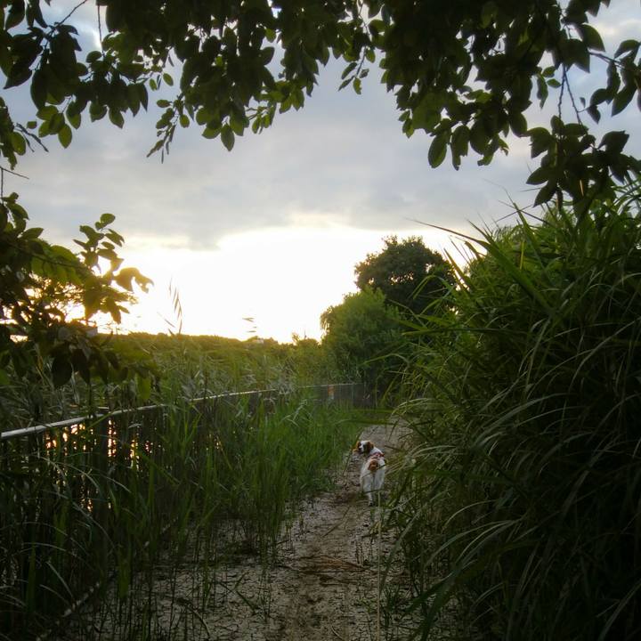 A05d902c 723d 48a5 aa34 2754fd26c5ac 1533731524214