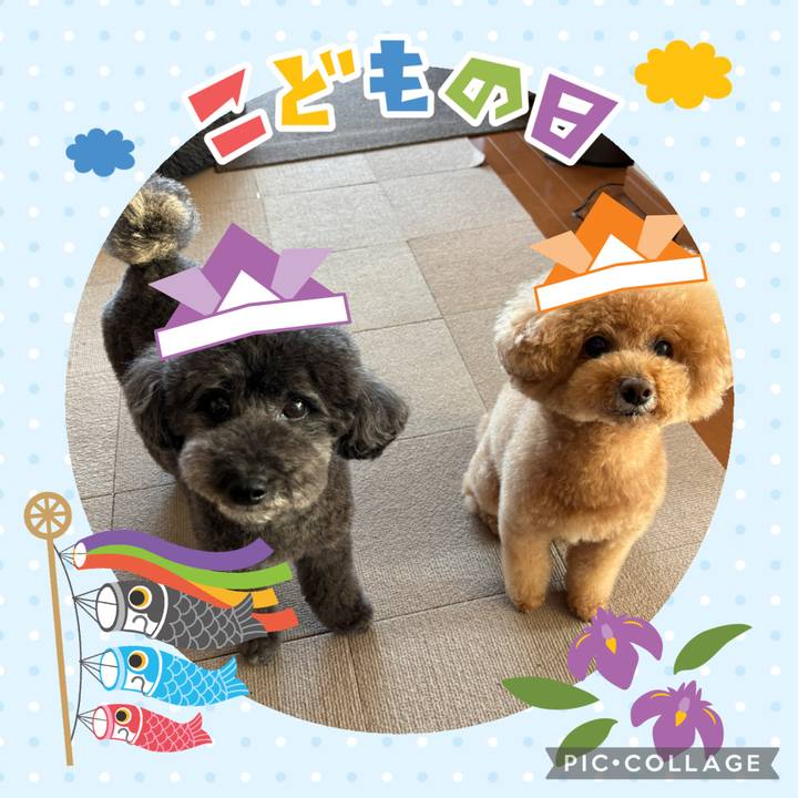 A05db2a1 8ff0 48e0 8386 7327303c6c14 1746408744245