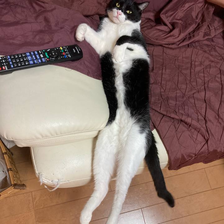 A05ddda4 3e76 447c ae60 cc02fe7d2080 1626554520689