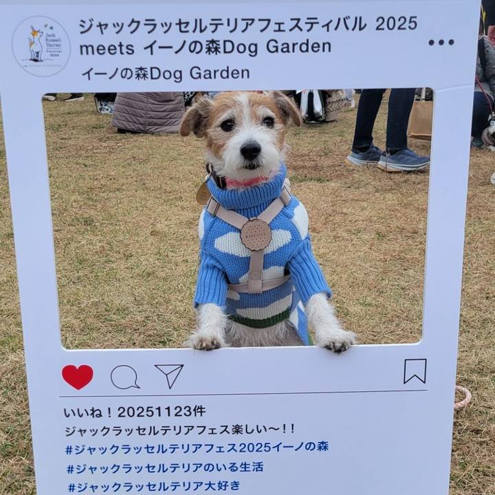 A05e314c 4e9d 45e2 b1a7 c0982c6031d4 1763947057601