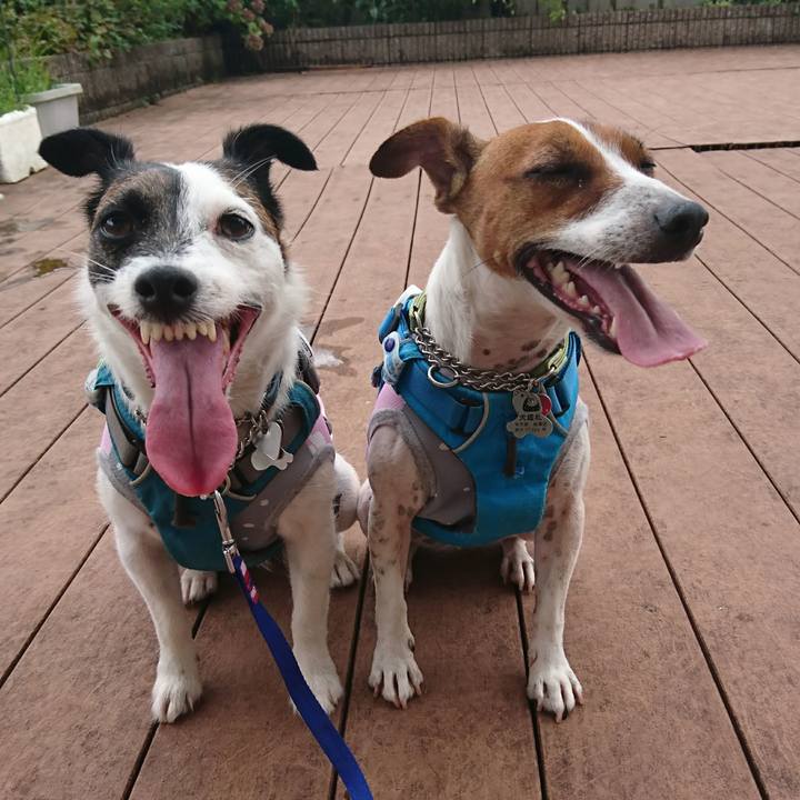 A05e6640 f0d3 401e bc47 5f3fd1362084 1595817458988