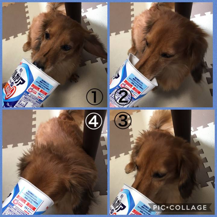 A05e665e 00ae 4b49 a27f a737fbeaee06 1531054802405